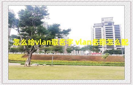 怎么给vlan取名字 vlan名称怎么配